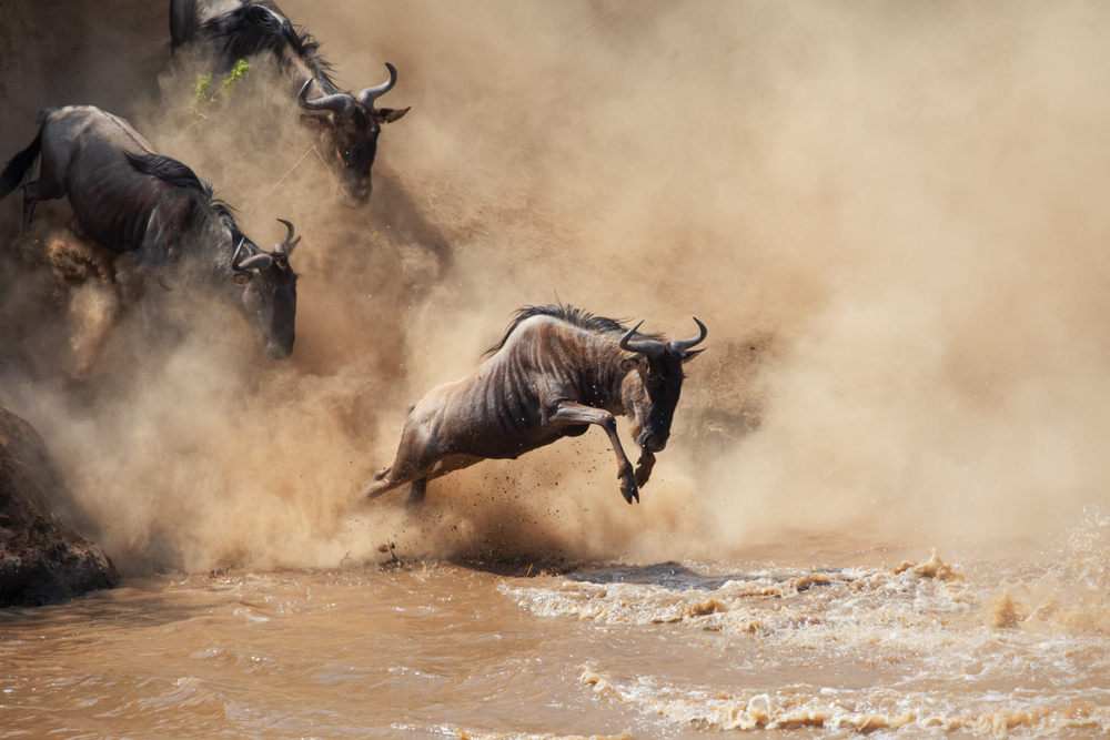 Serengeti